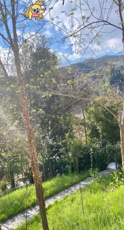 R Hotel Corovode Luaran gambar